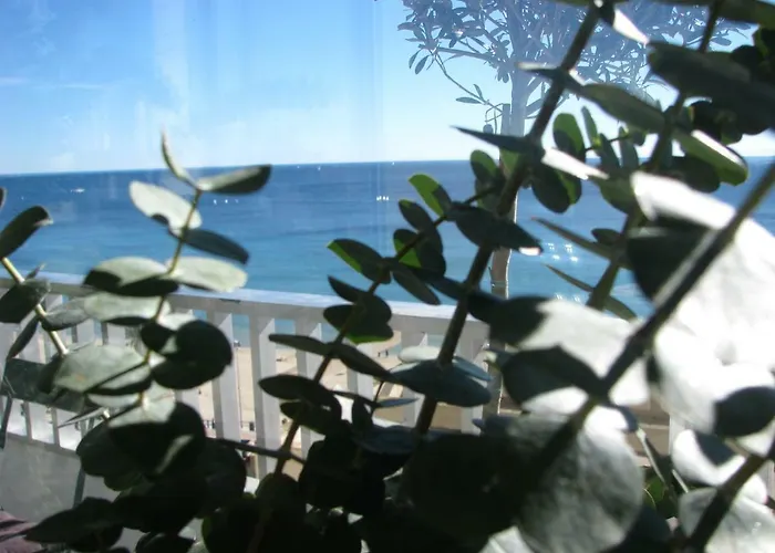 Ocean View Appartement