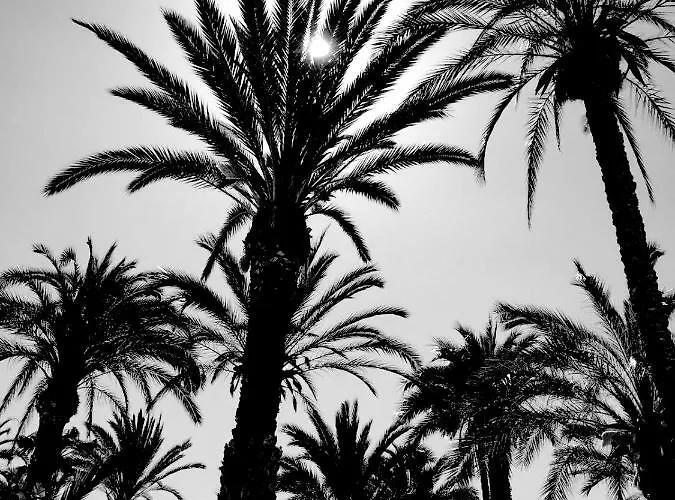 Ocean View Alicante